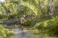 Prospector man uses a metal detector to look for lost gold treasure from the Walnut Grove Dam disaster in the Hassayampa River