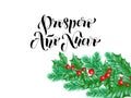 Prospero Ano Nuevo Spanish Happy New Year holiday hand drawn calligraphy lettering greeting card background template. Vector Chris Royalty Free Stock Photo