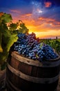 Prosperous Grapevine Landscape. wine barrel. vibrant sunset.