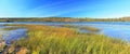 Landscape Panorama of Prosperous Lake Territorial Park, Ingraham Trail, Northwest Territories Royalty Free Stock Photo