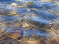 Prosser River, Orford, Tasmania Royalty Free Stock Photo