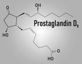 Prostaglandin D2, PGD2, molecule. Skeletal formula. Chemical structure Royalty Free Stock Photo