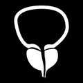 The prostate gland and bladder white color icon . Royalty Free Stock Photo