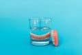 Prosthesis in a glass with a solution. Dental prosthesis care. Full removable plastic denture of the jaws. Two acrylic dentures. Royalty Free Stock Photo