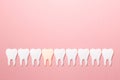 Prosthetic dentistry. White tooths on pink background. Oral dental hygiene. Dental health concept