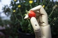 prosthetic hand holding cherry tomatoes