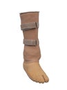 Prosthetics below the knee on a white background Royalty Free Stock Photo
