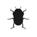 Protaetia May Bug Insect Design Flat