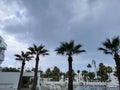 A swimming pool surrounded by sun loungers and parasols, under which people hide from the rain, surrounded by palm trees against a