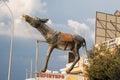 Protaras. Donkey on Roof of One of Restaurant in Protaras on Cyprus