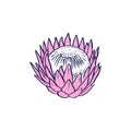 Protea flower black line art isolated on white Royalty Free Stock Photo