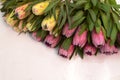 Protea flowers bunch. Blooming Pink King Protea Plant over White background. Extreme closeup. Holiday gift, bouquet, buds. One Bea Royalty Free Stock Photo
