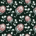 Protea seamless pattern flower. watercolor tropical leaves, hand painted illustration of exotic floral elements