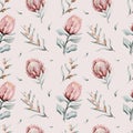 Protea seamless pattern flower. watercolor tropical leaves, hand painted illustration of exotic floral elements