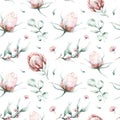 Protea seamless pattern flower. watercolor tropical leaves, hand painted illustration of exotic floral elements