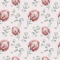 Protea seamless pattern flower. watercolor tropical leaves, hand painted illustration of exotic floral elements