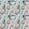 Protea seamless pattern flower. watercolor tropical leaves, hand painted illustration of exotic floral elements