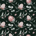 Protea seamless pattern flower. watercolor tropical leaves, hand painted illustration of exotic floral elements background, can be