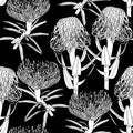 Protea seamless pattern. Linear sketchy style flower elements. Fabric textile design illustration.