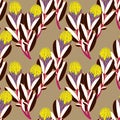 Protea or sugarbush flower seamless pattern exotic vintage minimalism aesthetic, retro background. Royalty Free Stock Photo