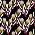 Protea or sugarbush flower seamless pattern exotic vintage minimalism aesthetic, retro background. Royalty Free Stock Photo