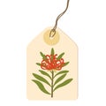 Protea tropical plant on tags with twine Royalty Free Stock Photo