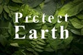 Protect earth concept of wild green jungle foliage. Royalty Free Stock Photo
