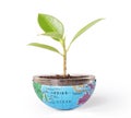 Protect the environment concept earth with tree Royalty Free Stock Photo