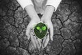 Protect nature and environmental problem saving and resolution. Hand holding glowing plant with shielding icon Royalty Free Stock Photo