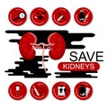 Protect your kidneys banner. Medical icons with tools around. Surgery equipment. Pyelonephritis disease. Tumor or cancer.