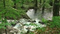 Beusnita waterfalls,Caras-Severin County, Anina Mountains, Romania