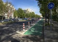 Protected and Dedicated Bike Lane in Berlin - Green with Bicycle Sign