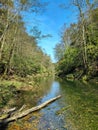 Protected forest landscape of the small river Kamacnik, canyon in Gorski kotar, Croatia Royalty Free Stock Photo