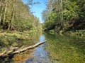 Protected forest landscape of the small river Kamacnik, canyon in Gorski kotar, Croatia Royalty Free Stock Photo