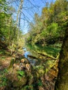 Protected forest landscape of the small river Kamacnik, canyon in Gorski kotar, Croatia Royalty Free Stock Photo