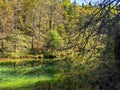 Protected forest landscape of the small river Kamacnik, canyon in Gorski kotar, Croatia Royalty Free Stock Photo