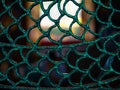 Protected house behind fence Close up of a wire fence with Royalty Free Stock Photo