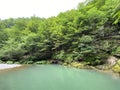 Protected landscape Green whirlpool or special geomorphological reserve Green whirlpool, Skrad - Croatia / Hrvatska Royalty Free Stock Photo
