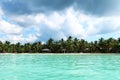 Protected nature reserve near Saona island