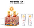 Protected skin with a sunscreen lotion Royalty Free Stock Photo
