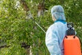 Protecting apple trees from fungal disease or vermin with pressure sprayer