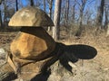 Creative way to cut down trees - wooden mushroom sculpture carved out of a trunk Royalty Free Stock Photo