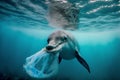 Protecting the Ocean. Let's save our oceans. Dolphin with a plastic bag swimming in the ocean