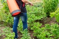 Protecting potatoes plants from fungal disease or vermin with pr