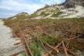 Protecting sand dunes from errosion. Coastal fortification Royalty Free Stock Photo