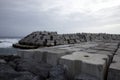 Protection of the coastal strip with enormous concrete sea walls