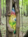 Protection of the damaged tree trunk with special paints.