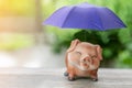 Protection Financial, insurance and saving piggy bank with umbrella Royalty Free Stock Photo