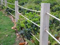 Protection of the flower bed from the entrance dogs people bikes cars separates the flower bed lawn path rope fence wooden posts Royalty Free Stock Photo