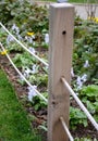 Protection of the flower bed from the entrance of dogs people bikes and other cars separates the flower bed ope fence wooden posts Royalty Free Stock Photo